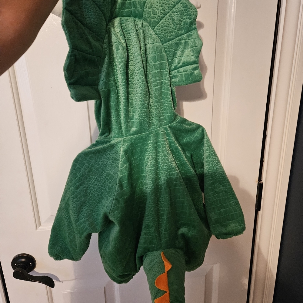 Dinosaur costume - Picture 4 of 5
